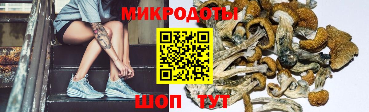Менделеевск  Галлюциногенные грибы мицелий  Вход с VPN 